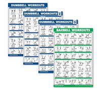 Palace Learning 4 Pack Dumbbell Workout Posters Volume 1 2 3 Barbell Exe