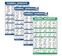 Palace Learning 4 Pack - Dumbbell Workout Posters Volume 1, 2 & 3 + Barbell Exercise Chart - Set of 4 Posters (LAMINATED, 18" x 24")
