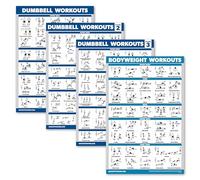 Palace Learning 4 Pack - Dumbbell Workout Posters Volume 1, 2 & 3 + Bodyweight Exercise Chart - Set of 4 Posters (LAMINATED, 18" x 24")