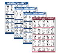 Palace Learning 4 Pack - Dumbbell Workout Posters Volume 1, 2 & 3 + Resistance Bands Exercise Chart - Set of 4 Posters (LAMINATED, 18" x 24")