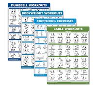 Palace Learning 4 Pack - Dumbbell Workouts, Bodyweight Exercises, Stretching Exercises, Cable Machine Workouts - Set of 4 Laminated Posters (18” x 24”) - Classroom Fitness Charts