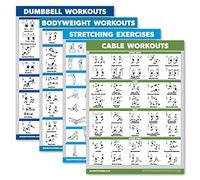 Palace Learning 4 Pack - Dumbbell Workouts + Bodyweight Workouts + Stretching Exercises + Cable Workout - Set of 4 Workout Charts (18” x 24”, LAMINATED)