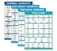 Palace Learning 4 Pack - Dumbbell Workouts + Bodyweight Workouts + Stretching Exercises + Yoga - Set of 4 Workout Charts (18” x 24”, LAMINATED)