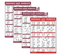 Palace Learning 4 Pack - Resistance Bands Workout Exercise Posters Volume 1, 2 & 3 + Resistance Loops Fitness Chart (LAMINATED, 18" x 24")