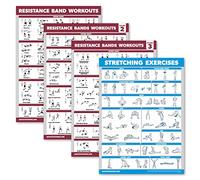 Palace Learning 4 Pack - Resistance Bands Workout Posters Volume 1, 2 & 3 + Stretching Exercise Chart (Laminated, 18" x 24")