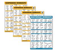 Palace Learning 4 Pack - Suspension Workout Posters Volume 1, 2 & 3 + Bodyweight Exercise Chart - Set of 4 Posters (LAMINATED, 18" x 24")