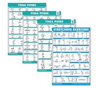 Palace Learning 4 Pack: Yoga Poses Posters Volume 1, 2 & 3 + Stretching Workout Exercise Chart (Laminated, 18" x 24")