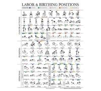 Palace Learning Labor Positions Poster - Birthing Positions Chart - Childbirth Education for Doula, Midwife or Birthworker - 18" x 24" - Laminated