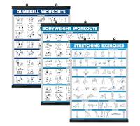 Palace Learning QuickFit 3 Pack - Dumbbell Workouts + Bodyweight Exercises + Stretching Routine Poster Set - Set of 3 Workout Charts (Laminated WITH PLASTIC FRAME, 18" x 24")