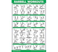 Palace Learning QUICKFIT Barbell Workout Exercise Poster - (Laminated, 18" x 24")