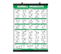 Palace Learning QUICKFIT Barbell Workout Exercise Poster - (Laminated, 18" x 24") for Kids Room (with Plastic Frame)