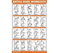 Palace Learning QuickFit Battle Rope Workout Poster - Laminated - Illustrated Exercise Chart (Laminated, 18" x 24")
