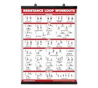 Palace Learning QUICKFIT Resistance Loop Bands Workout Poster - with Plastic Frame - Exercise Chart for Resistance Band Loops - 18" x 24"