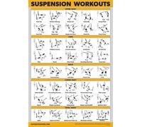 Palace Learning QUICKFIT Suspension Workout Exercise Poster - (Laminated, 18in x 24in), Hallway