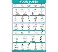 Palace Learning Yoga Position Exercise Poster - Yoga Asana Poses Chart - Laminated, 18" x 24"