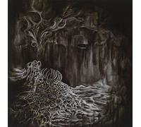 Palace Of Worms - The Forgotten
