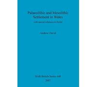 Palaeolithic and Mesolithic Settlement in Wales: with special reference to Dyfed: 448 (British Archaeological Reports British Series)