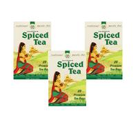 Palanquin Spiced Tea 40s Tea Bag (Pack of 3)