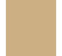 Palatine PaintsProtected By Performance Pliocem® Pliolite Masonry Paint |15 Colours | 2.5lt | 5lt (2.5 Lt, Sand Hill)