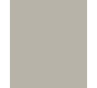 Palatine PaintsProtected By Performance Pliocem® Pliolite Masonry Paint |15 Colours | 2.5lt | 5lt (5 Litre, Silk Grey)