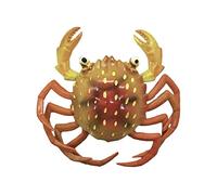 Palau Boracay Bali Maldives 3D Blue Sea Crab Refrigerator Magnet Tourist Souvenirs Plastic Magnetic Stickers Fridge Magnet Home & Kitchen Decoration from China