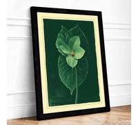 Pale Bloom and Leaves Botanical Framed Wall Art Print A3 (42×29.7cm) Black, Wall Decor for Living Room, Bedroom, Office & Home, Ready to Hang, Art Gift