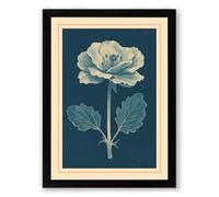 Pale Bloom Study Botanical Framed Wall Art Print A1 (84.1×59.4cm) Black, Wall Decor for Living Room, Bedroom, Office & Home, Ready to Hang, Art Gift