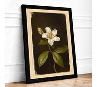 Pale Bloom Study Botanical Framed Wall Art Print A1 (84.1×59.4cm) Black, Wall Decor for Living Room, Bedroom, Office & Home, Ready to Hang, Art Gift