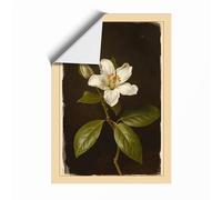 Pale Bloom Study Botanical Unframed Wall Art Print A2 (59.4×42cm), Wall Decor for Living Room, Bedroom, Office & Home, Art Gift