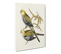 Pale Headed Parakeet Birds By Elizabeth Gould Vintage Canvas Wall Art Print Ready to Hang, Framed Picture for Living Room Bedroom Home Office Décor, 24x16 Inch (60x40 cm)