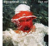 Pale Jay - Bewilderment