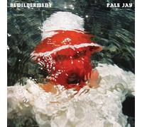 Pale Jay - Bewilderment [VINYL]