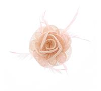 Pale Pink Rose Net Fascinator with Feathers on Clip & Brooch Pin