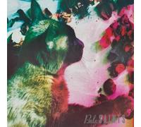 PALE SAINTS - THE COMFORTS OF MADNESS (30TH ANNIVERSARY REMA