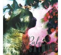 Pale Saints - The Comforts Of Madness