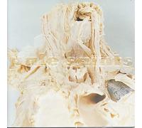 Pale Saints,the - In Ribbons