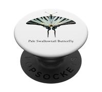 Pale Swallowtail Butterfly Papilio Eurymedon PopSockets Adhesive PopGrip