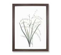 Pale Vanilla Lily Flowers By Pierre Joseph Redoute Vintage Framed Print | A4 Walnut Framed Wall Art | Ready to Hang | Classic Floral Picture | Living Room Bedroom Lounge Office