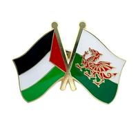 Palestine And Wales Flag Crossed Enamel Pin Badge 2.4 x 1.9cm - Palestinian And Welsh Friendship Lapel Pin, National Flags Metal Brooch For Jackets, Bags, Events And Collectors