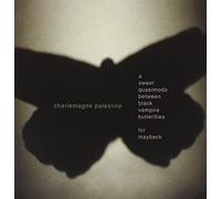 Palestine, Charlemagne - A Sweet Quasimodo Between Black Vampire Butterflies for Maybeck