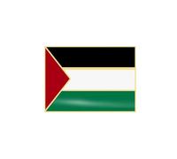 Palestine Flag Lapel Pins,Metal Palestinian National Lapel Pin,Flag Palestine Stand Badge Pins,I Button with Fl Palestine