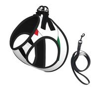 Palestine Flag Map Print Dog Harness Small Sized And Leash Set, Step In Soft Light Puppy Vest Breathable Mesh Pet Harness