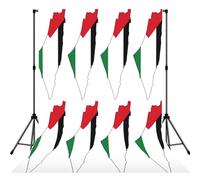 Palestine Flag Map Print Photo Studio Background 5x7ft Soft Photo Backdrop Curtain For Studio Content Creator Equipment