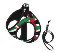 Palestine Flag Pet Leash Vest For Small Dogs Cats Reflective Adjustable Soft Outdoor Walking Hiking Training