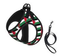 Palestine Flag Print Dog Harness Small Sized And Leash Set, Step In Soft Light Puppy Vest Breathable Mesh Pet Harness