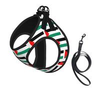 Palestine Flag Print Dog Harness Small Sized And Leash Set, Step In Soft Light Puppy Vest Breathable Mesh Pet Harness