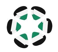 Palestine flag print Guitar Picks 12PCS Mixed Gauges(0.46/0.71/0.96mm) with Case, for Guitar/Ukulele