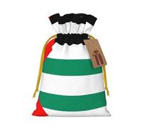 Palestine Flag Print Reusable Gift Bags,Drawstring Gift Bags For Jewelry And Gifts,For Festive Occasions
