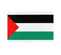 Palestine Flag Print Ultra Thin Door Mat,Rug Perfect for Indoor Front Door,Back Door,Patio and Entryway