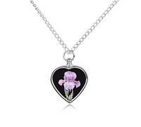 Palestine Iris Haynei Pet Ash Necklace Keepsake Memorial Heart Pendant Jewelry